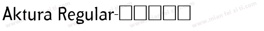 Aktura Regular字体转换